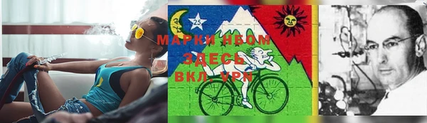 спиды Новокубанск