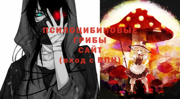 ECSTASY Новозыбков