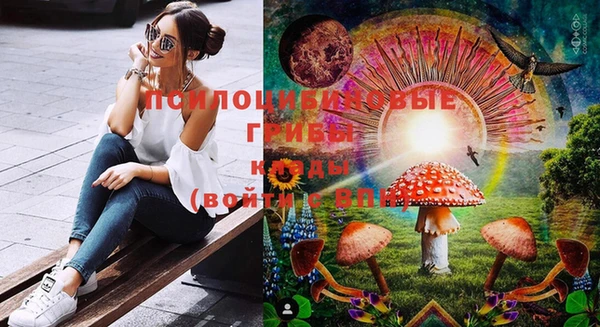 винт Весьегонск