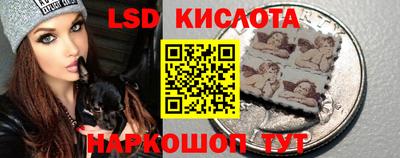 гидра Заводоуковск