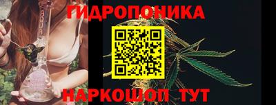 гидра Заводоуковск