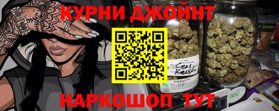 гидра Заводоуковск