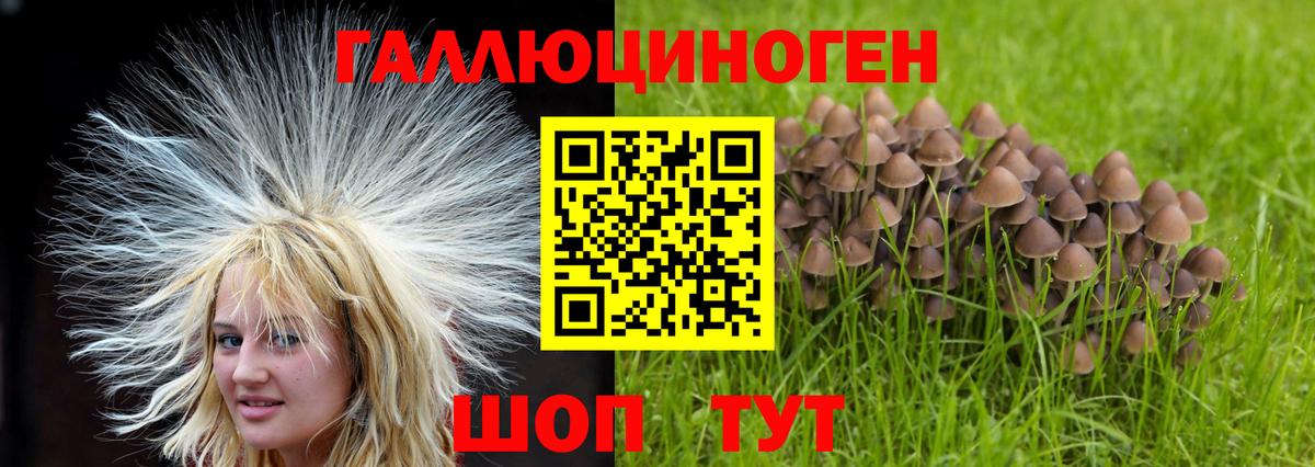 Псилоцибиновые грибы Magic Shrooms  Изобильный  магазин  наркотиков  Галлюциногенные грибы Cubensis 