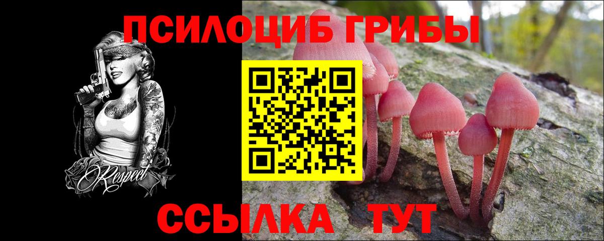 Изобильный  Галлюциногенные грибы Psilocybine cubensis  Вход с VPN 